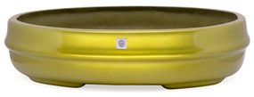 Vaso Bacia Decorativo Osaka Dourado M 11,5x44x36 cm - D'Rossi