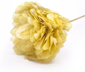 Rosa Artificial Bege 10x55 cm - D'Rossi