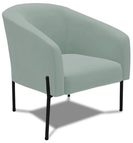 Poltrona Decorativa Pé de Ferro Preto Stella Cotelê Ext/Veludo D03 - D'Rossi - Menta