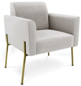 Poltrona Sala Decorativa Pé de Ferro Dourado Marisa Veludo - Cinza