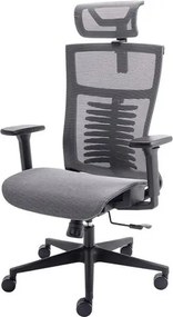 Cadeira Ergonomica Elements Vertta Special Cinza e Preta - 78712 Sun House