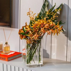 Vaso Claire - MDO2  MDO2