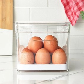 Organizador de Ovos Clear Fresh (36 ovos)