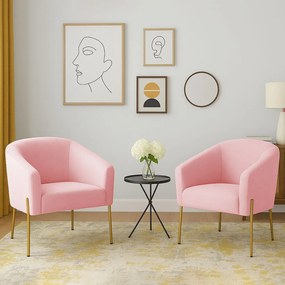 Poltrona Decorativa Pé de Ferro Dourado Kit 2 Stella Suede D03 - D'Rossi - Rosa Bebê