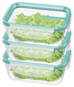 Kit 3 Potes com Travas 330ml - Verde