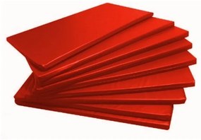 10 Colchonetes Academia - 100 X 60 X 3 - D33 - Orthovida (Vermelho)