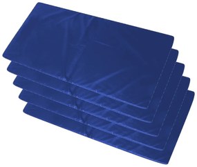 Kit 5 Colchonetes Ginástica, Academia - 90X42X2 Cm - Orthovida (Azul)