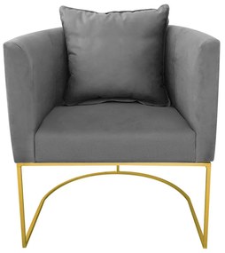 Poltrona Paola Suede Base Metálica Dourado D03 - D'Rossi Bege - Grafite