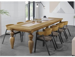 Conjunto Mesa Flower e 10 Cadeiras de Aço Coller -