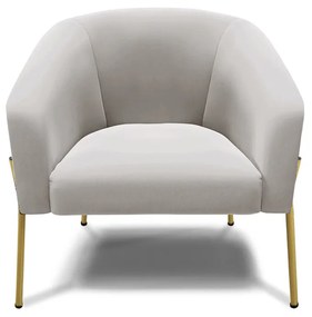 Poltrona Decorativa Pé de Ferro Dourado Stella Veludo D03 - D'Rossi - Cinza