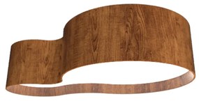 Plafon Accord Orgânico -