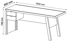 Mesa com 2 Gavetas para Escritório Home Office ME4122 MDP Nogal/Fendi G69 - Gran Belo