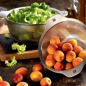 Peneira ZWILLING Table 24cm