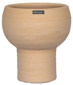 Vaso Zak M