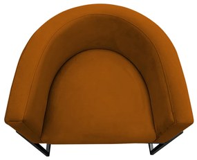 Poltrona Decorativa Base Metal Preta Luna Veludo Terracota - Sheep Estofados - Veludo Terracota