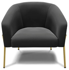 Poltrona Decorativa Pé de Ferro Dourado Kit 2 Stella Suede D03 - D'Rossi - Preto