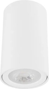 Plafon De Sobrepor Aluminio 8Cm Lisse Ii - BRANCO