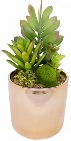 Vaso Decorativo Dourado com Suculentas Artificiais Sortidas 19x8 cm F04 - D'Rossi