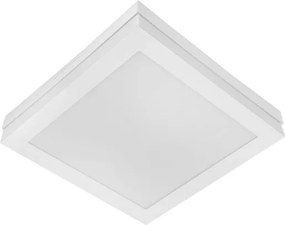 Plafon Led Sobrepor 16w Multitemperatura Catar