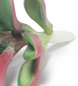 Suculenta Artificial Decorativa 10,5 x 6cm - D'Rossi