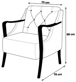 Kit 2 Poltronas Decorativas Braços em Madeira Hand Veludo Marrom G45 - Gran Belo