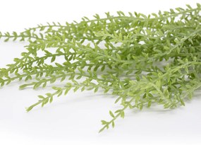 Folhagem Artificial Sedum para Pendurar com Powder Verde 44 cm F04 - D'Rossi