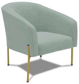 Poltrona Decorativa Pé de Ferro Dourado Stella Cotelê Ext/Veludo D03 - D'Rossi - Menta