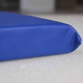 10 Colchonetes Academia Fitness Abdominal 90 X 40 X 3 Cm D33 (Azul)