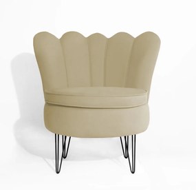 Conjunto 2 Poltrona Dália Pés Hairpin Legs Preto Veludo Nude