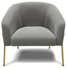 Poltrona Decorativa Pé de Ferro Dourado Stella Suede D03 - D'Rossi - Grafite