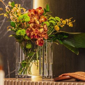 Vaso Claire - MDO1  MDO1