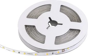 Fita De Led 6w Por Metro 560lm 24v 5 Metros - LED BRANCO FRIO (6500K)