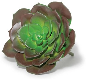 Suculenta Permanente 10 x 10cm M02 - D'Rossi