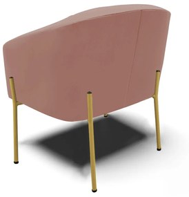 Poltrona Decorativa Pé de Ferro Dourado Stella Veludo D03 - D'Rossi - Rose