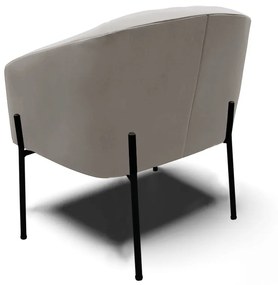 Poltrona Decorativa Pé de Ferro Preto Stella Veludo D03 - D'Rossi - Cinza