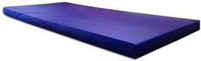 Colchonete Para Visita D20 180X50X4Cm Selo Inmetro Orthovida (Bord�)