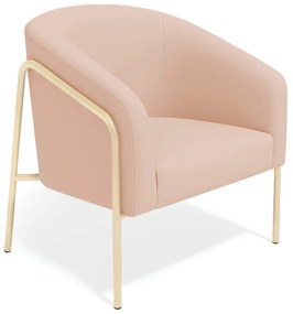 Poltrona Sala Industrial Alta Champanhe Stella Veludo D03 - D'Rossi - Rose
