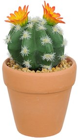 Vaso com Cacto Ferocactus Orcuttii Verde com Flor Amarela 14x6 cm - D'Rossi