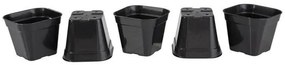 Kit Vasos Quadrados Suculentas Preto 5 Peças