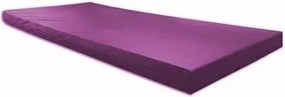 Colchonete Para Visita D33 180X70X8Cm Napa Inmetro Orthovida