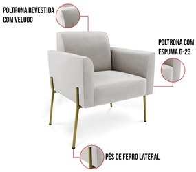 Poltrona Pé de Ferro Dourado para Salão Kit 2 Marisa Veludo D03 - D'Rossi - Cinza