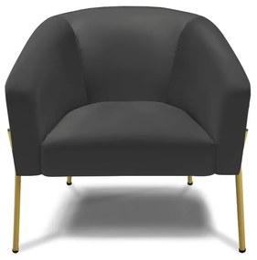 Poltrona Decorativa Pé de Ferro Dourado Stella Sintético D03 - D'Rossi - Preto