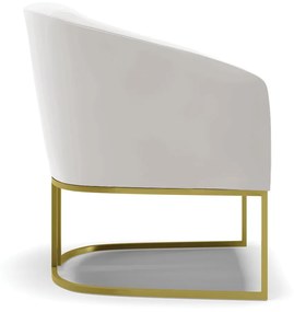 Poltrona Decorativa Industrial Dourado kit 2 Stella Veludo D03 - D'Rossi - Cinza