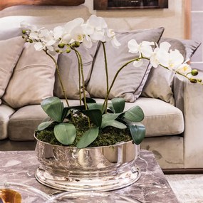 Centro de Mesa Silhouette Grande St James  Prata