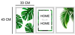 Kit 03 Quadros Decorativos "Folhagem Home Sweet Home" 43x33 Cada - D'Rossi