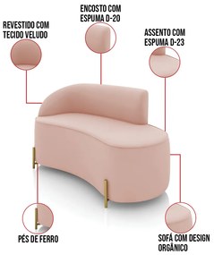 Sofá 2 Lugares Orgânico 140cm Pé Dourado Morgan Veludo D03 - D'Rossi - Rose