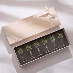 Kit 6 Taças de Cristal Lapidado 66 P/ Licor c/ Caixa de Presente - Verde Claro  Verde Claro