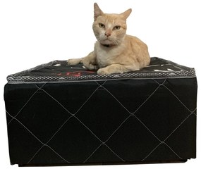 Cama Box Para Pet 60X60X22Cm Grande, Cães E Gatos Orthovida