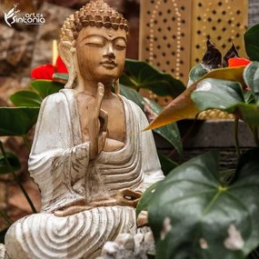 Buda em Madeira Suar Pátina