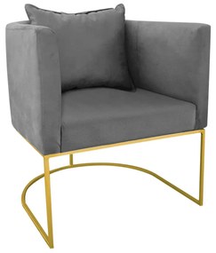 Poltrona Paola Suede Base Metálica Dourado D03 - D'Rossi Bege - Grafite